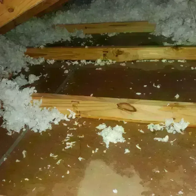 Attic Water Damage in Standish, MI