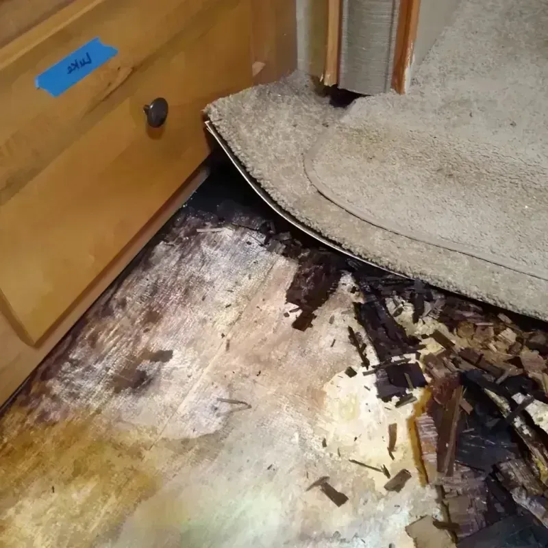 Best Wood Floor Water Damage Service in Standish, MI